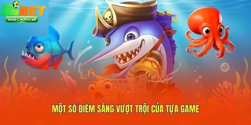Giải Trí Săn Cá Có Trách Nhiệm Trên Hệ Thống